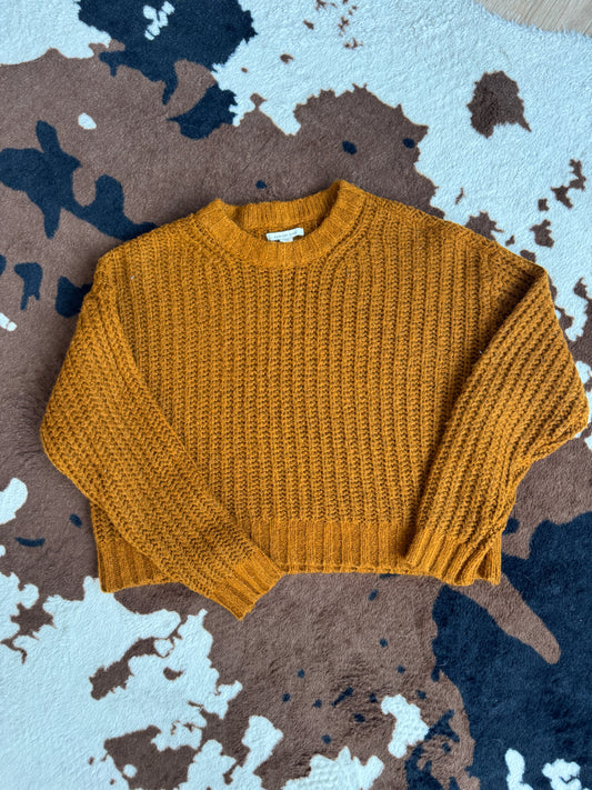 American Eagle Sweater - Thrift